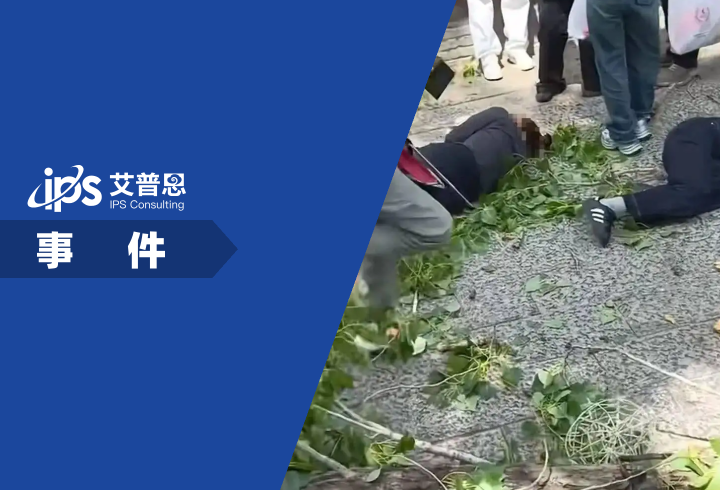 开封“万岁山武侠城”一棵树断裂砸倒多名游事件舆情分析报告