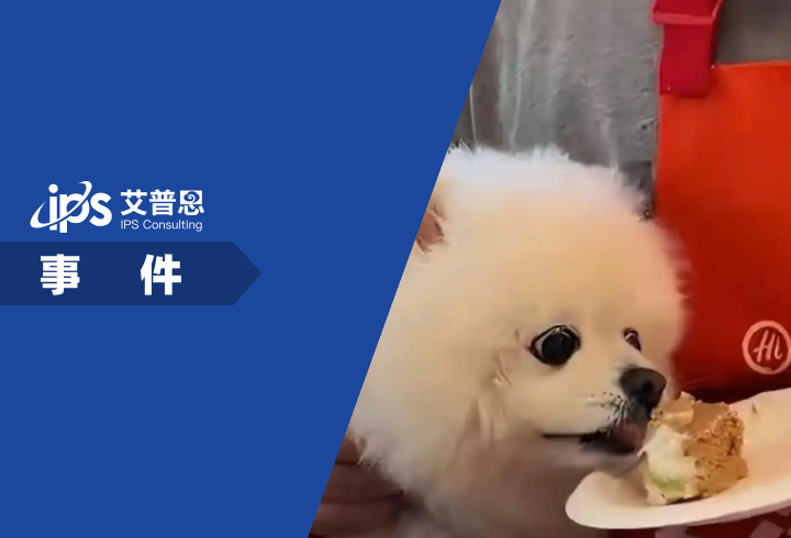 海底捞门店回应小狗上桌吃蛋糕事件舆情分析报告