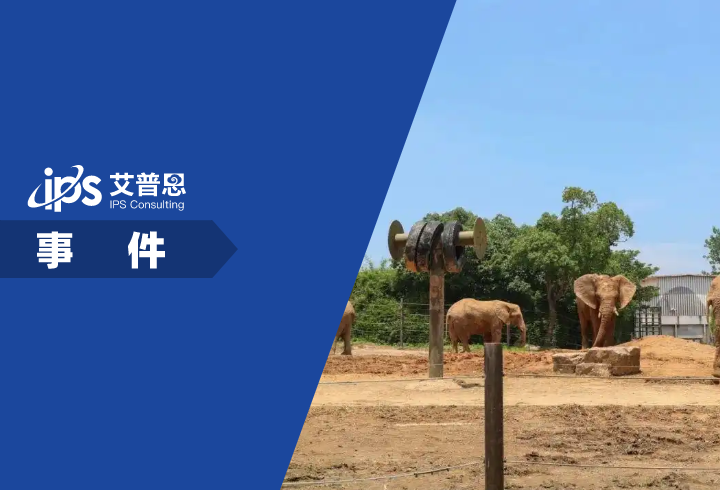上海野生动物园一大象被霸凌事件舆情分析报告
